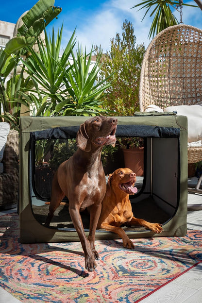 Collapsible Dog Crate 42 Inch, XXL Dog Crate for XXL, XL, Large Breeds, Travel Kennel for Car, Includes Pet Mat for Pet Cage, 2 Storage Pockets, Handbag, 10mm Locking Zippers 42 * 31 * 31
