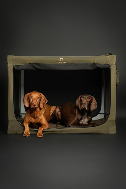 Collapsible Dog Crate 42 Inch, XXL Dog Crate for XXL, XL, Large Breeds, Travel Kennel for Car, Includes Pet Mat for Pet Cage, 2 Storage Pockets, Handbag, 10mm Locking Zippers 42 * 31 * 31