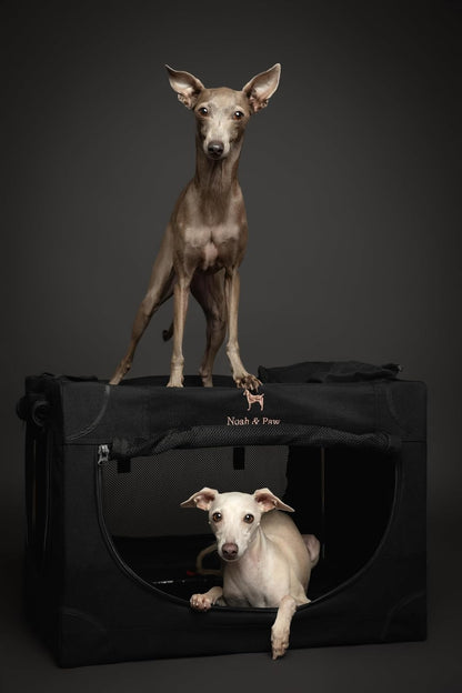 Collapsible Dog Crate 42 Inch, XXL Dog Crate for XXL, XL, Large Breeds, Travel Kennel for Car, Includes Pet Mat for Pet Cage, 2 Storage Pockets, Handbag, 10mm Locking Zippers 42 * 31 * 31