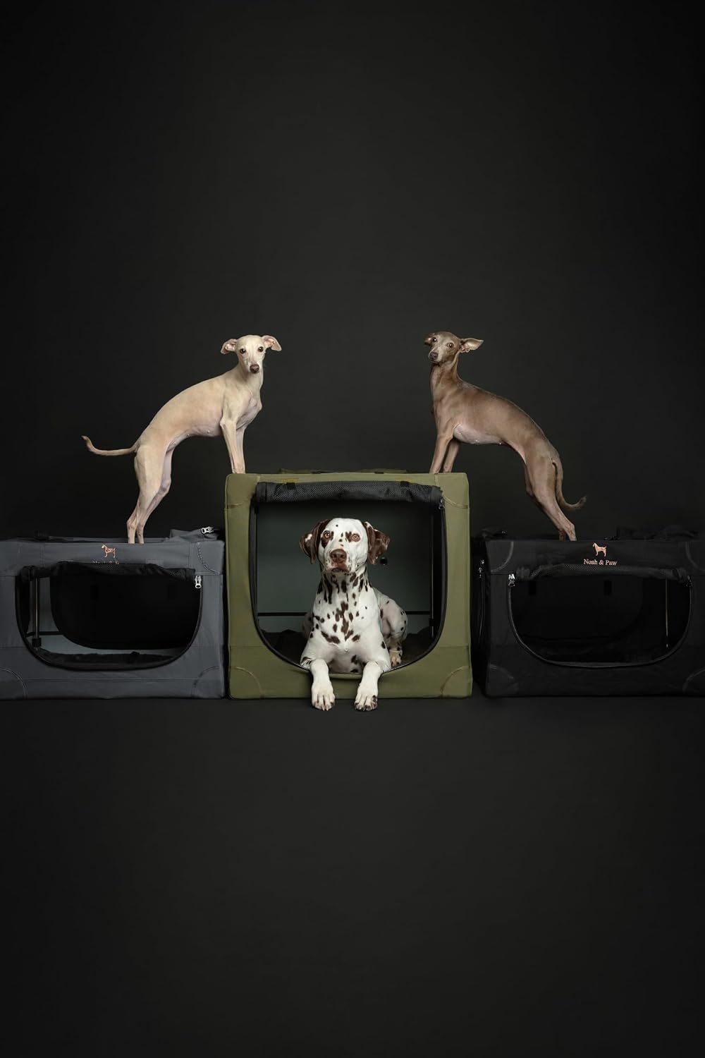 Collapsible Dog Crate 42 Inch, XXL Dog Crate for XXL, XL, Large Breeds, Travel Kennel for Car, Includes Pet Mat for Pet Cage, 2 Storage Pockets, Handbag, 10mm Locking Zippers 42 * 31 * 31