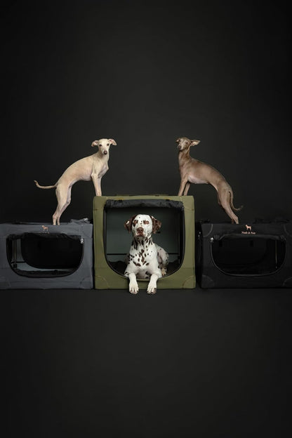 Collapsible Dog Crate 42 Inch, XXL Dog Crate for XXL, XL, Large Breeds, Travel Kennel for Car, Includes Pet Mat for Pet Cage, 2 Storage Pockets, Handbag, 10mm Locking Zippers 42 * 31 * 31