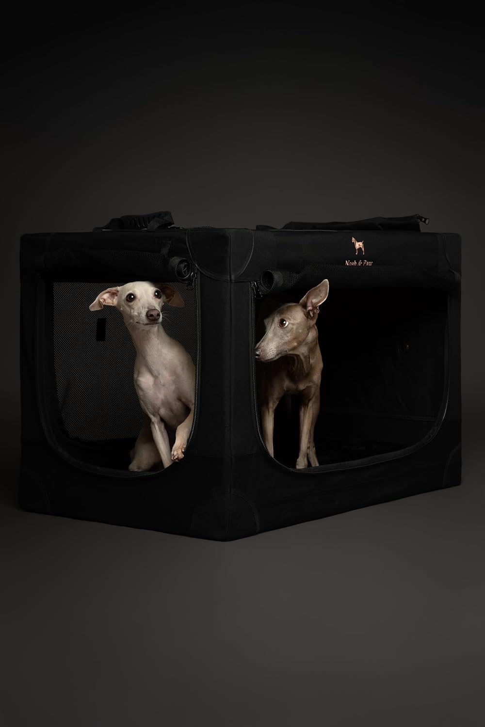 Collapsible Dog Crate 42 Inch, XXL Dog Crate for XXL, XL, Large Breeds, Travel Kennel for Car, Includes Pet Mat for Pet Cage, 2 Storage Pockets, Handbag, 10mm Locking Zippers 42 * 31 * 31