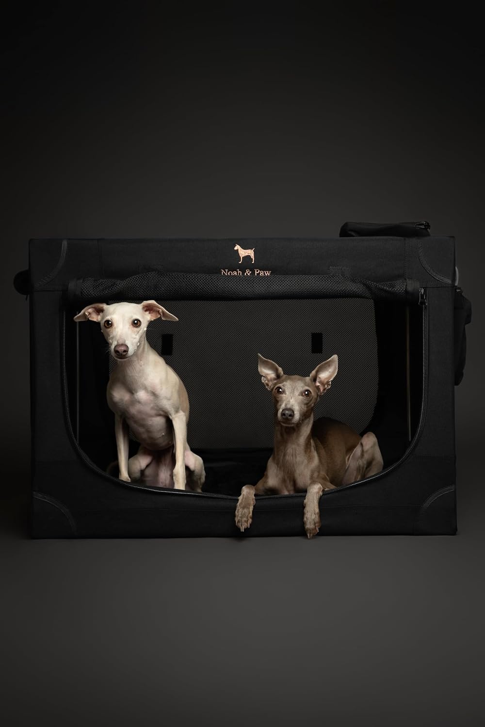 Collapsible Dog Crate 42 Inch, XXL Dog Crate for XXL, XL, Large Breeds, Travel Kennel for Car, Includes Pet Mat for Pet Cage, 2 Storage Pockets, Handbag, 10mm Locking Zippers 42 * 31 * 31