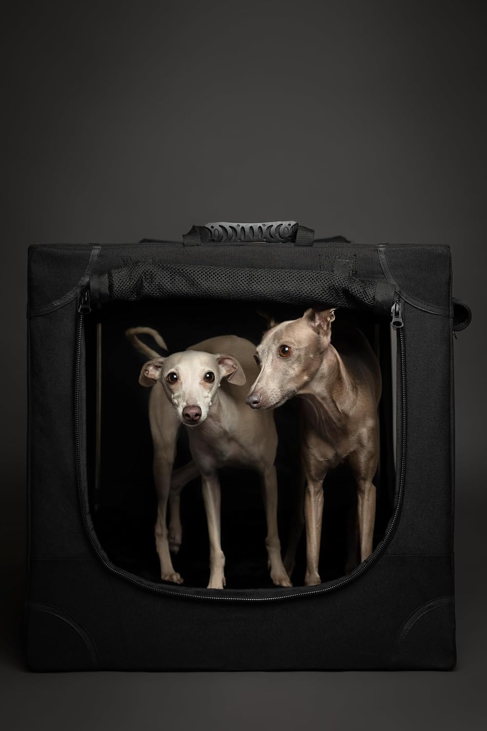 Collapsible Dog Crate 42 Inch, XXL Dog Crate for XXL, XL, Large Breeds, Travel Kennel for Car, Includes Pet Mat for Pet Cage, 2 Storage Pockets, Handbag, 10mm Locking Zippers 42 * 31 * 31