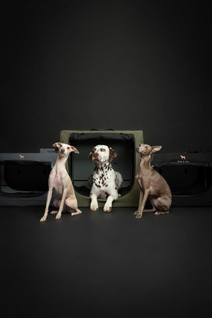 Collapsible Dog Crate 42 Inch, XXL Dog Crate for XXL, XL, Large Breeds, Travel Kennel for Car, Includes Pet Mat for Pet Cage, 2 Storage Pockets, Handbag, 10mm Locking Zippers 42 * 31 * 31