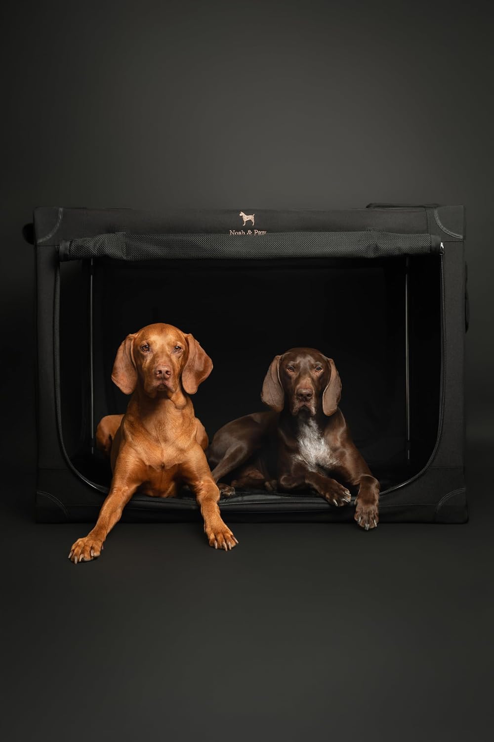 Collapsible Dog Crate 42 Inch, XXL Dog Crate for XXL, XL, Large Breeds, Travel Kennel for Car, Includes Pet Mat for Pet Cage, 2 Storage Pockets, Handbag, 10mm Locking Zippers 42 * 31 * 31