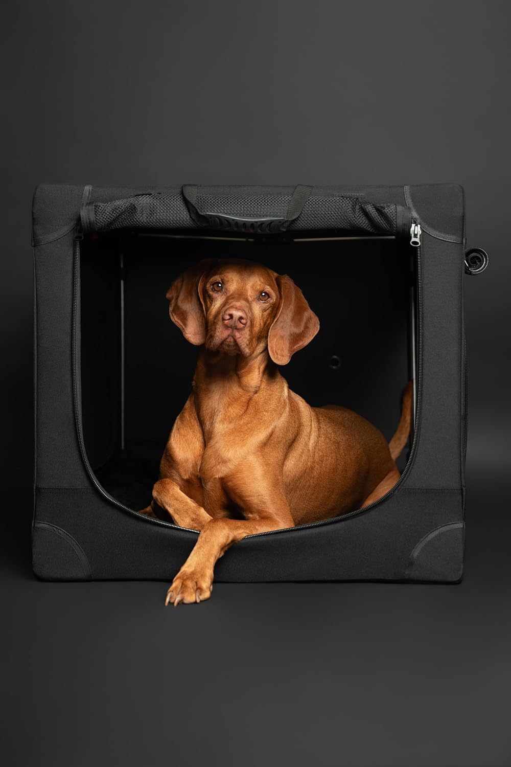 Collapsible Dog Crate 42 Inch, XXL Dog Crate for XXL, XL, Large Breeds, Travel Kennel for Car, Includes Pet Mat for Pet Cage, 2 Storage Pockets, Handbag, 10mm Locking Zippers 42 * 31 * 31