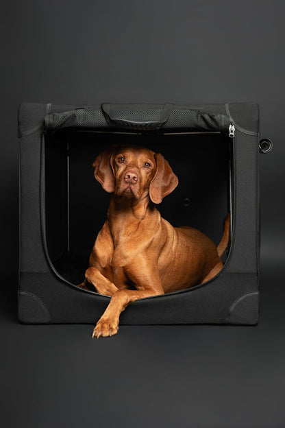 Collapsible Dog Crate 42 Inch, XXL Dog Crate for XXL, XL, Large Breeds, Travel Kennel for Car, Includes Pet Mat for Pet Cage, 2 Storage Pockets, Handbag, 10mm Locking Zippers 42 * 31 * 31