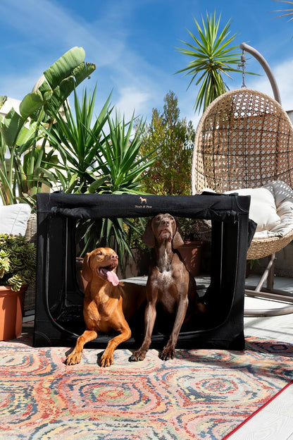 Collapsible Dog Crate 42 Inch, XXL Dog Crate for XXL, XL, Large Breeds, Travel Kennel for Car, Includes Pet Mat for Pet Cage, 2 Storage Pockets, Handbag, 10mm Locking Zippers 42 * 31 * 31