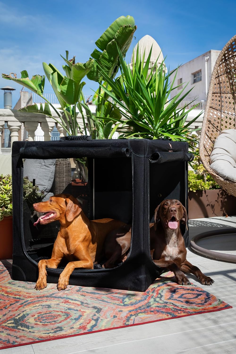 Collapsible Dog Crate 42 Inch, XXL Dog Crate for XXL, XL, Large Breeds, Travel Kennel for Car, Includes Pet Mat for Pet Cage, 2 Storage Pockets, Handbag, 10mm Locking Zippers 42 * 31 * 31