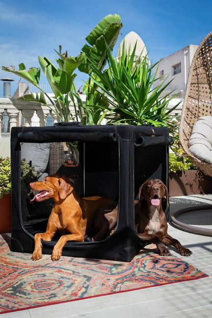 Collapsible Dog Crate 42 Inch, XXL Dog Crate for XXL, XL, Large Breeds, Travel Kennel for Car, Includes Pet Mat for Pet Cage, 2 Storage Pockets, Handbag, 10mm Locking Zippers 42 * 31 * 31