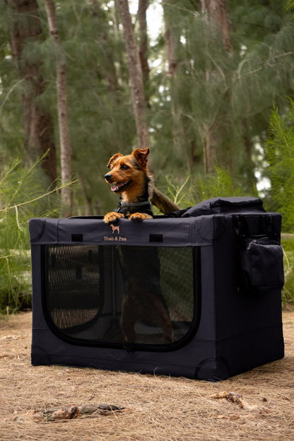 Collapsible Dog Crate 42 Inch, XXL Dog Crate for XXL, XL, Large Breeds, Travel Kennel for Car, Includes Pet Mat for Pet Cage, 2 Storage Pockets, Handbag, 10mm Locking Zippers 42 * 31 * 31