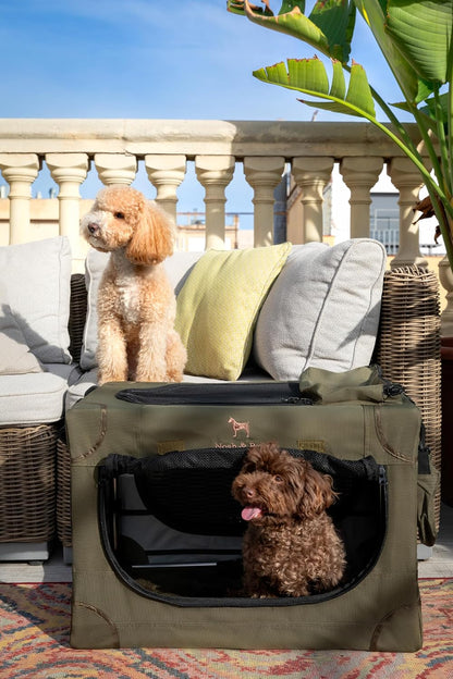 Collapsible Dog Crate 42 Inch, XXL Dog Crate for XXL, XL, Large Breeds, Travel Kennel for Car, Includes Pet Mat for Pet Cage, 2 Storage Pockets, Handbag, 10mm Locking Zippers 42 * 31 * 31