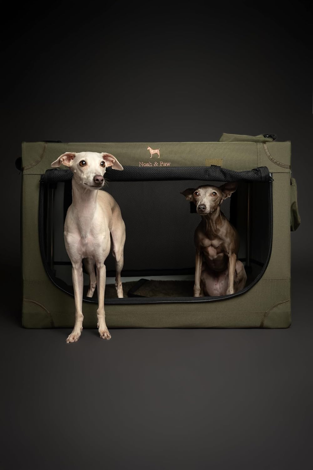 Collapsible Dog Crate 42 Inch, XXL Dog Crate for XXL, XL, Large Breeds, Travel Kennel for Car, Includes Pet Mat for Pet Cage, 2 Storage Pockets, Handbag, 10mm Locking Zippers 42 * 31 * 31