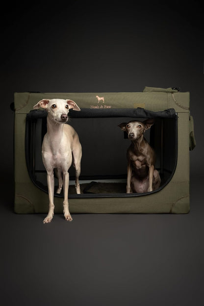Collapsible Dog Crate 42 Inch, XXL Dog Crate for XXL, XL, Large Breeds, Travel Kennel for Car, Includes Pet Mat for Pet Cage, 2 Storage Pockets, Handbag, 10mm Locking Zippers 42 * 31 * 31