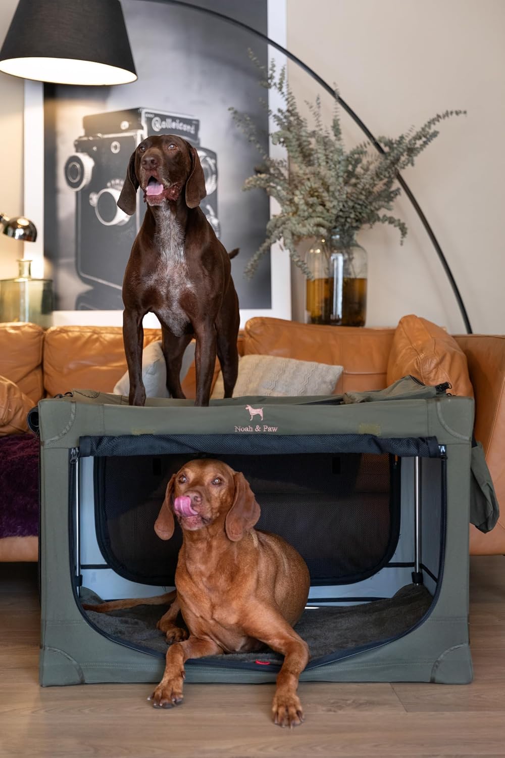 Collapsible Dog Crate 42 Inch, XXL Dog Crate for XXL, XL, Large Breeds, Travel Kennel for Car, Includes Pet Mat for Pet Cage, 2 Storage Pockets, Handbag, 10mm Locking Zippers 42 * 31 * 31