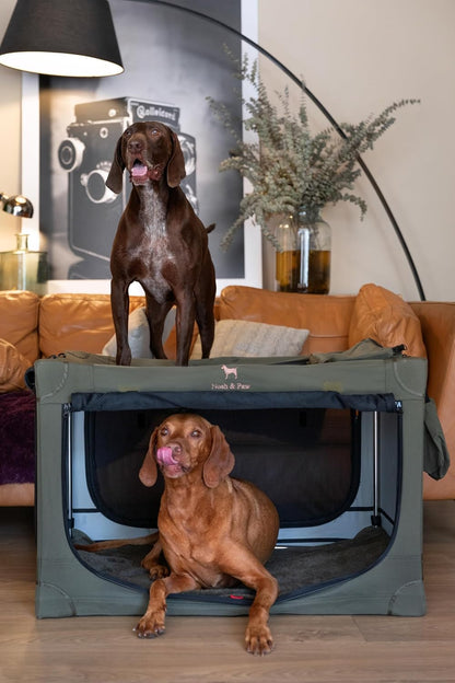 Collapsible Dog Crate 42 Inch, XXL Dog Crate for XXL, XL, Large Breeds, Travel Kennel for Car, Includes Pet Mat for Pet Cage, 2 Storage Pockets, Handbag, 10mm Locking Zippers 42 * 31 * 31