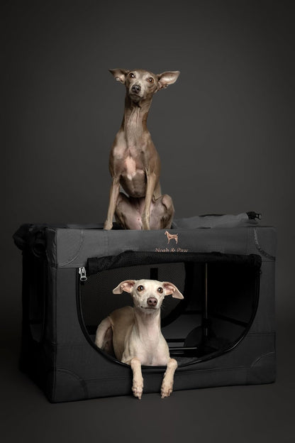 Collapsible Dog Crate 42 Inch, XXL Dog Crate for XXL, XL, Large Breeds, Travel Kennel for Car, Includes Pet Mat for Pet Cage, 2 Storage Pockets, Handbag, 10mm Locking Zippers 42 * 31 * 31