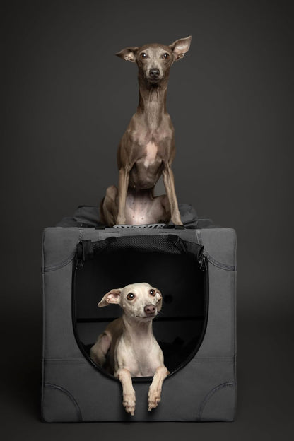 Collapsible Dog Crate 42 Inch, XXL Dog Crate for XXL, XL, Large Breeds, Travel Kennel for Car, Includes Pet Mat for Pet Cage, 2 Storage Pockets, Handbag, 10mm Locking Zippers 42 * 31 * 31