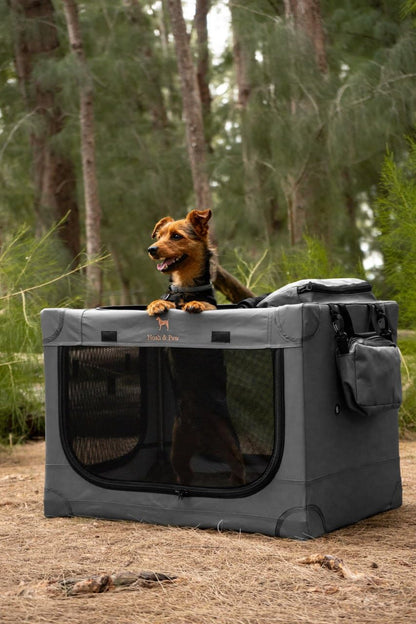 Collapsible Dog Crate 42 Inch, XXL Dog Crate for XXL, XL, Large Breeds, Travel Kennel for Car, Includes Pet Mat for Pet Cage, 2 Storage Pockets, Handbag, 10mm Locking Zippers 42 * 31 * 31