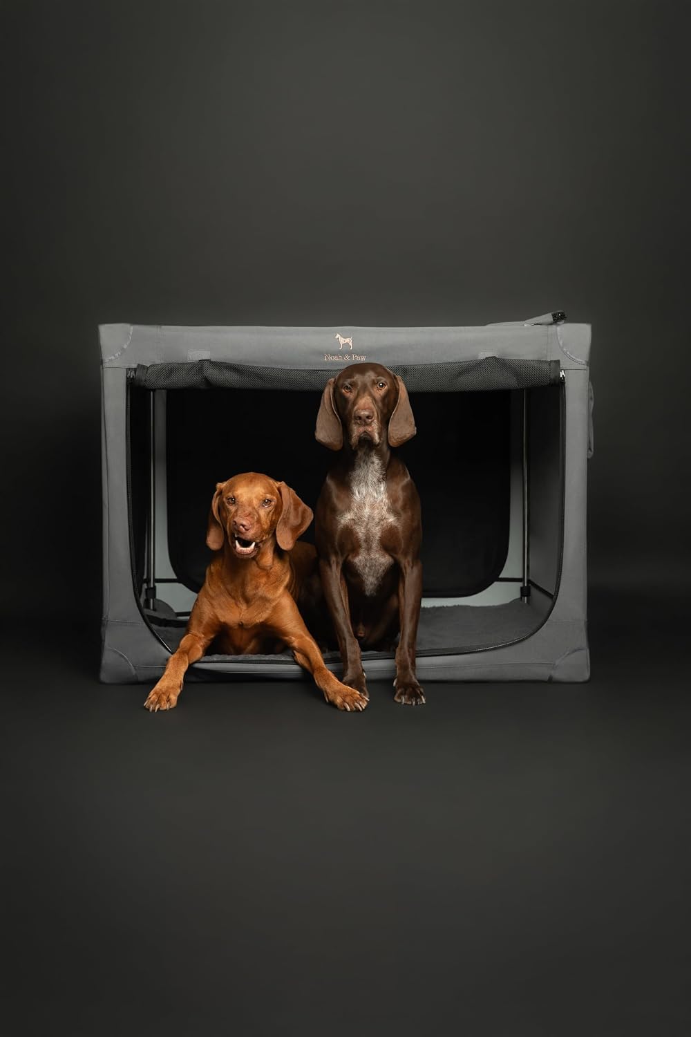 Collapsible Dog Crate 42 Inch, XXL Dog Crate for XXL, XL, Large Breeds, Travel Kennel for Car, Includes Pet Mat for Pet Cage, 2 Storage Pockets, Handbag, 10mm Locking Zippers 42 * 31 * 31