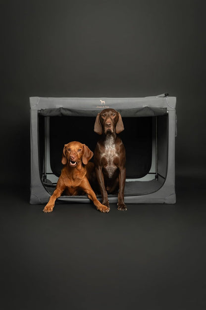 Collapsible Dog Crate 42 Inch, XXL Dog Crate for XXL, XL, Large Breeds, Travel Kennel for Car, Includes Pet Mat for Pet Cage, 2 Storage Pockets, Handbag, 10mm Locking Zippers 42 * 31 * 31