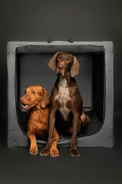 Collapsible Dog Crate 42 Inch, XXL Dog Crate for XXL, XL, Large Breeds, Travel Kennel for Car, Includes Pet Mat for Pet Cage, 2 Storage Pockets, Handbag, 10mm Locking Zippers 42 * 31 * 31