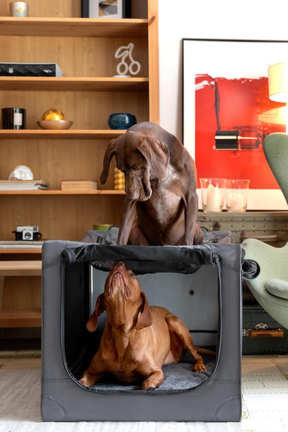 Collapsible Dog Crate 42 Inch, XXL Dog Crate for XXL, XL, Large Breeds, Travel Kennel for Car, Includes Pet Mat for Pet Cage, 2 Storage Pockets, Handbag, 10mm Locking Zippers 42 * 31 * 31