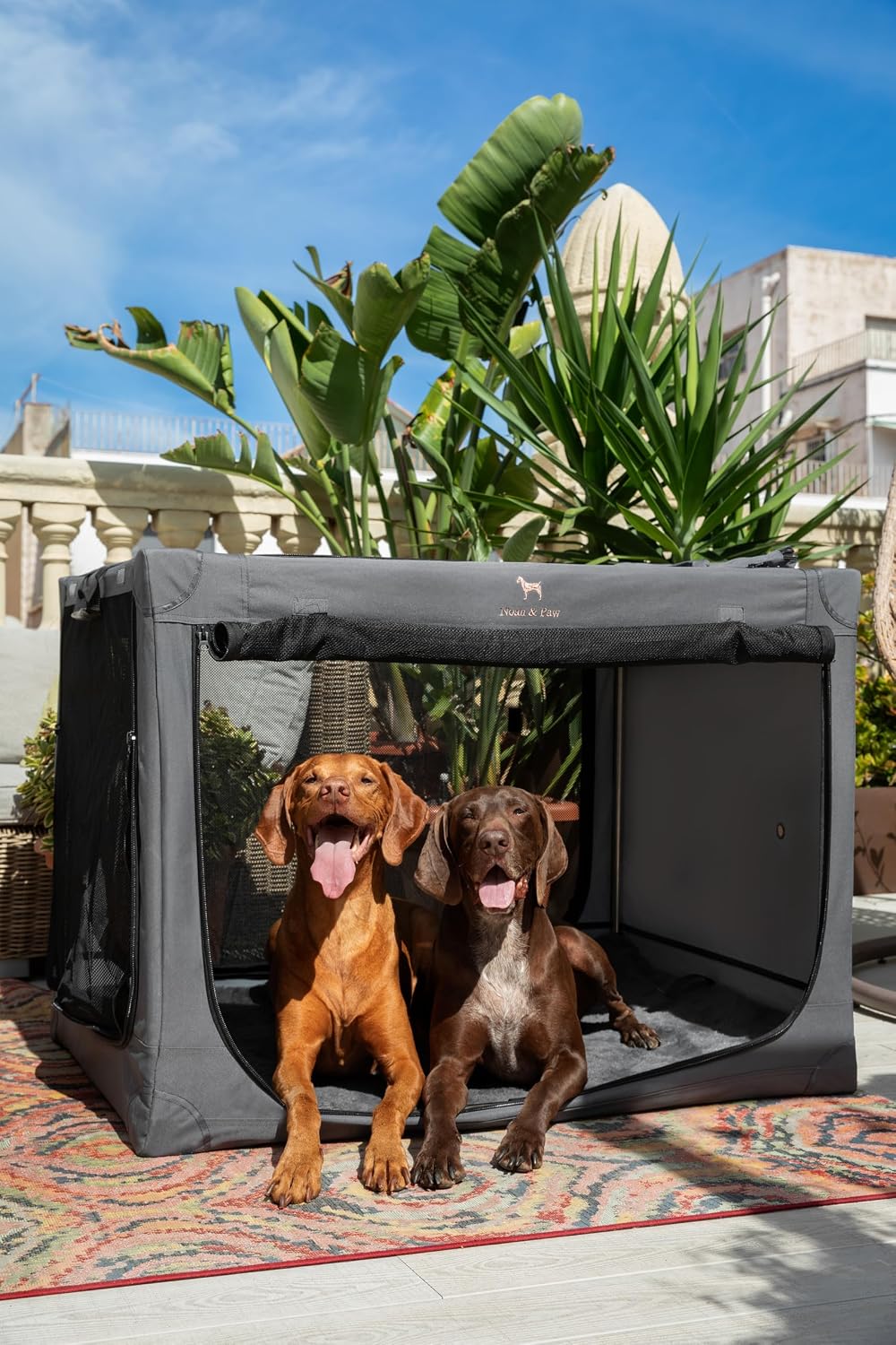 Collapsible Dog Crate 42 Inch, XXL Dog Crate for XXL, XL, Large Breeds, Travel Kennel for Car, Includes Pet Mat for Pet Cage, 2 Storage Pockets, Handbag, 10mm Locking Zippers 42 * 31 * 31