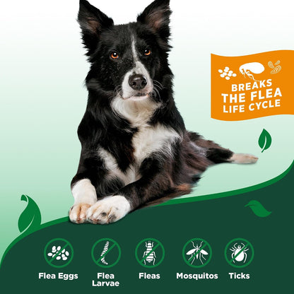 Indoor Flea & Tick Home Spray for Dogs, Plant-Based Spray, 32 oz
