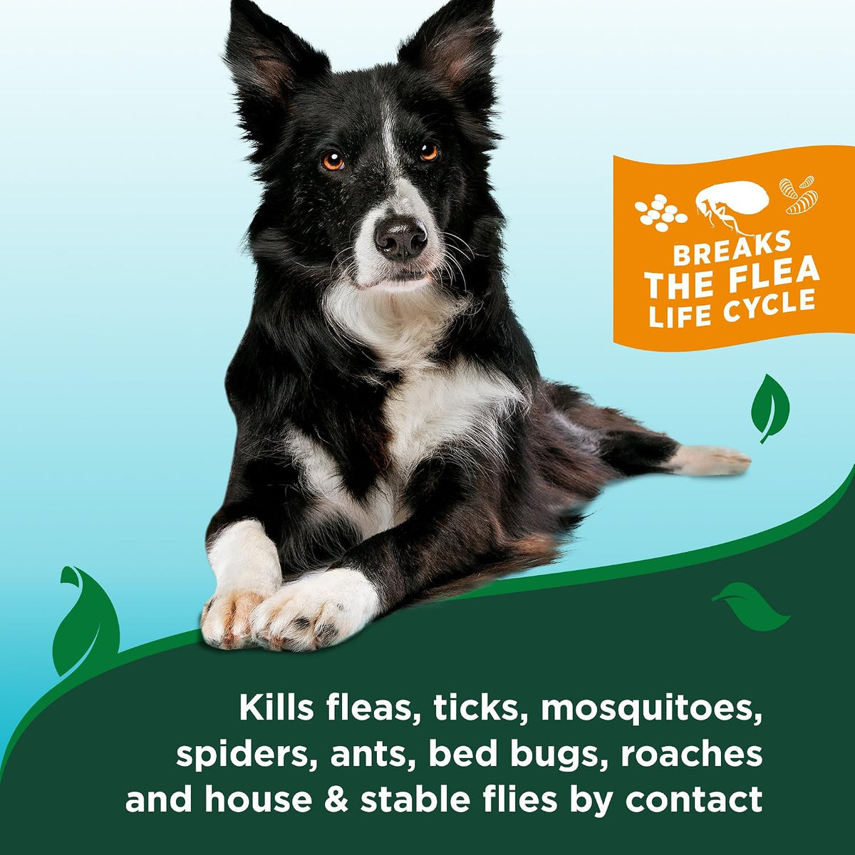 Indoor Flea & Tick Home Spray for Dogs, Plant-Based Spray, 32 oz