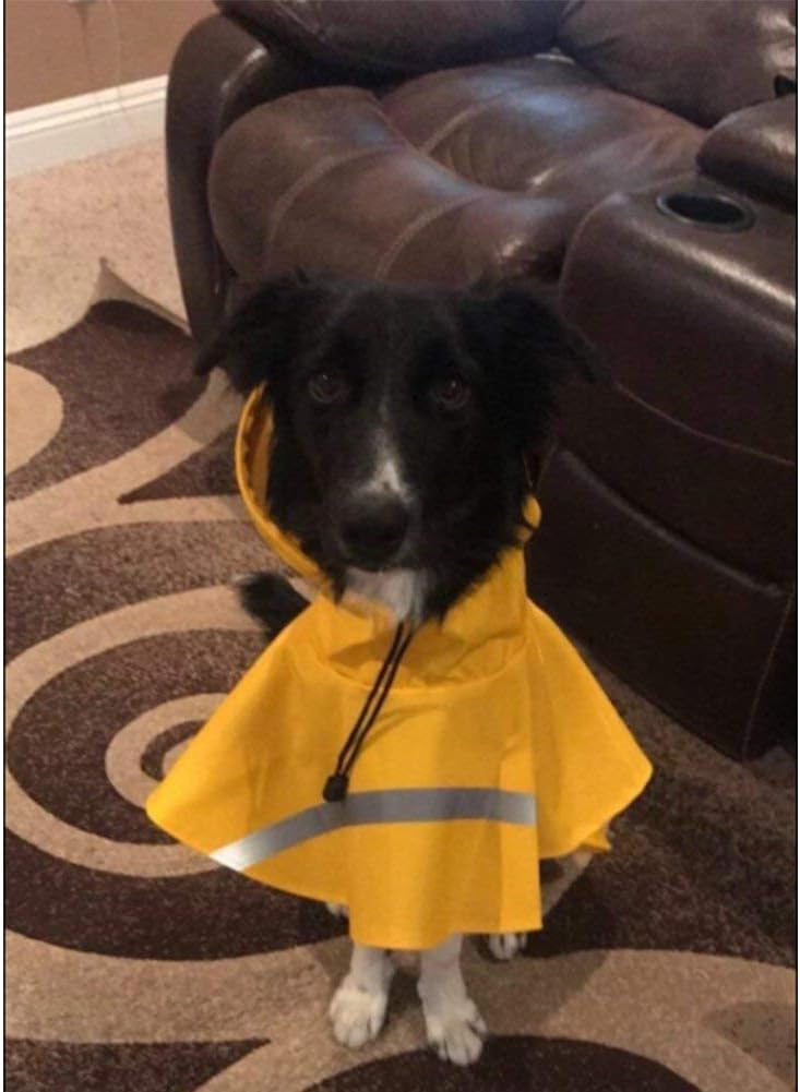 NACOCO Large Dog Raincoat Adjustable Pet Water Proof Clothes Lightweight Rain Jacket Poncho Hoodies with Strip Reflective (XL, Yellow)