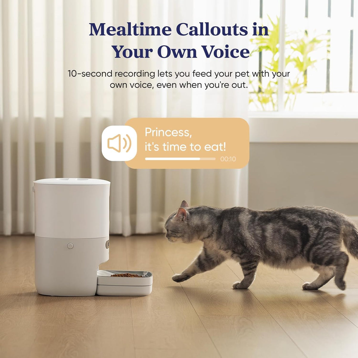 Automatic Cat Feeder, WiFi & Smart Scale, Remote Feeding