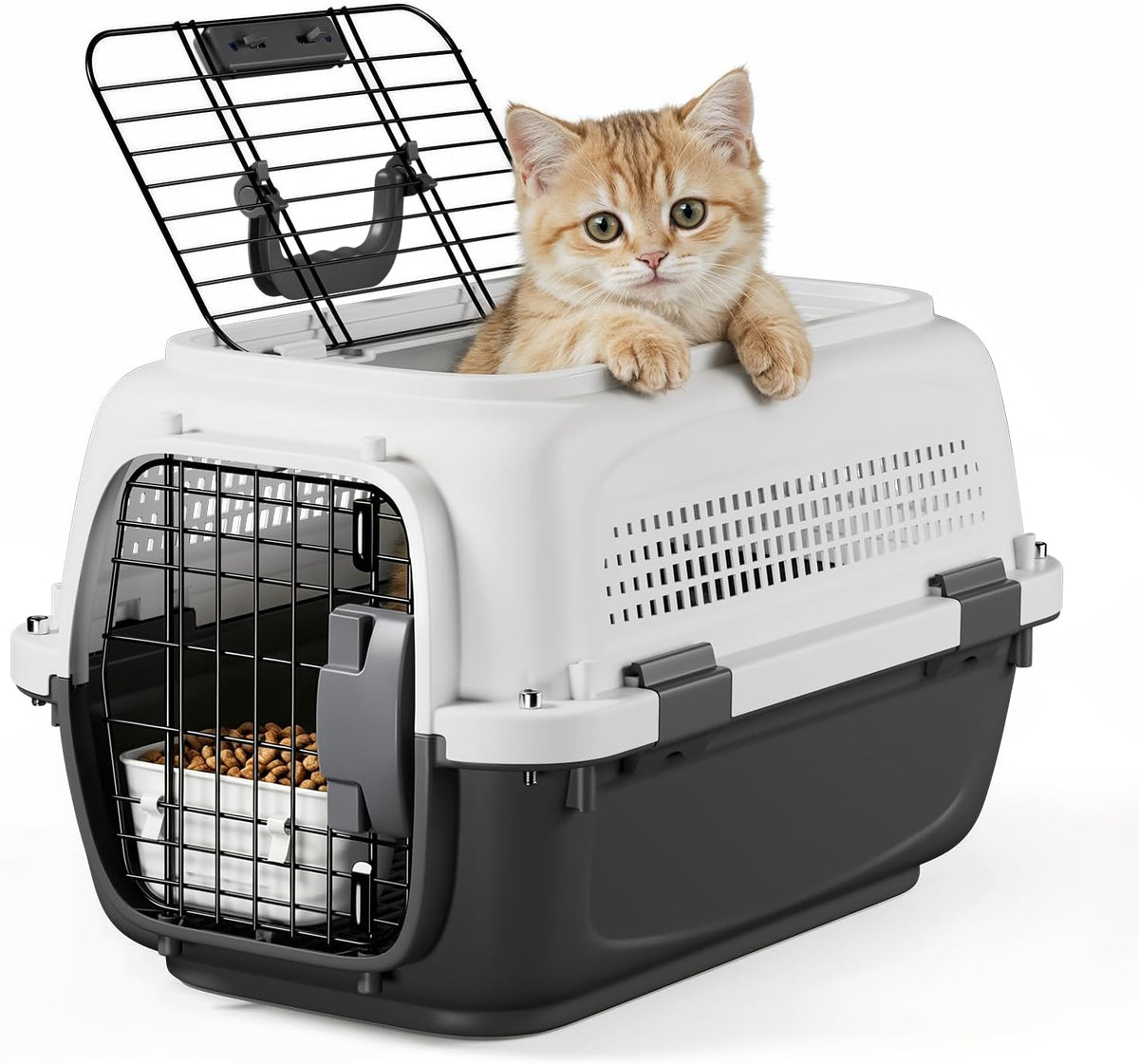 19.5" Hard Shell Cat Carrier, Pet Carrier for Small Dogs & Cats