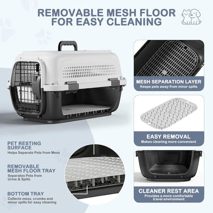 19.5" Hard Shell Cat Carrier, Pet Carrier for Small Dogs & Cats
