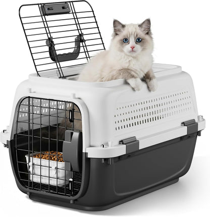 19.5" Hard Shell Cat Carrier, Pet Carrier for Small Dogs & Cats