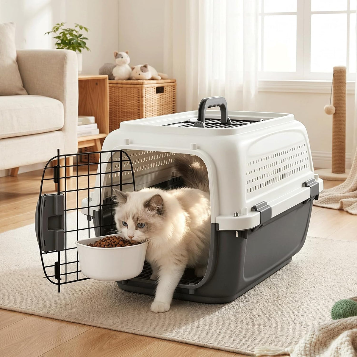 19.5" Hard Shell Cat Carrier, Pet Carrier for Small Dogs & Cats