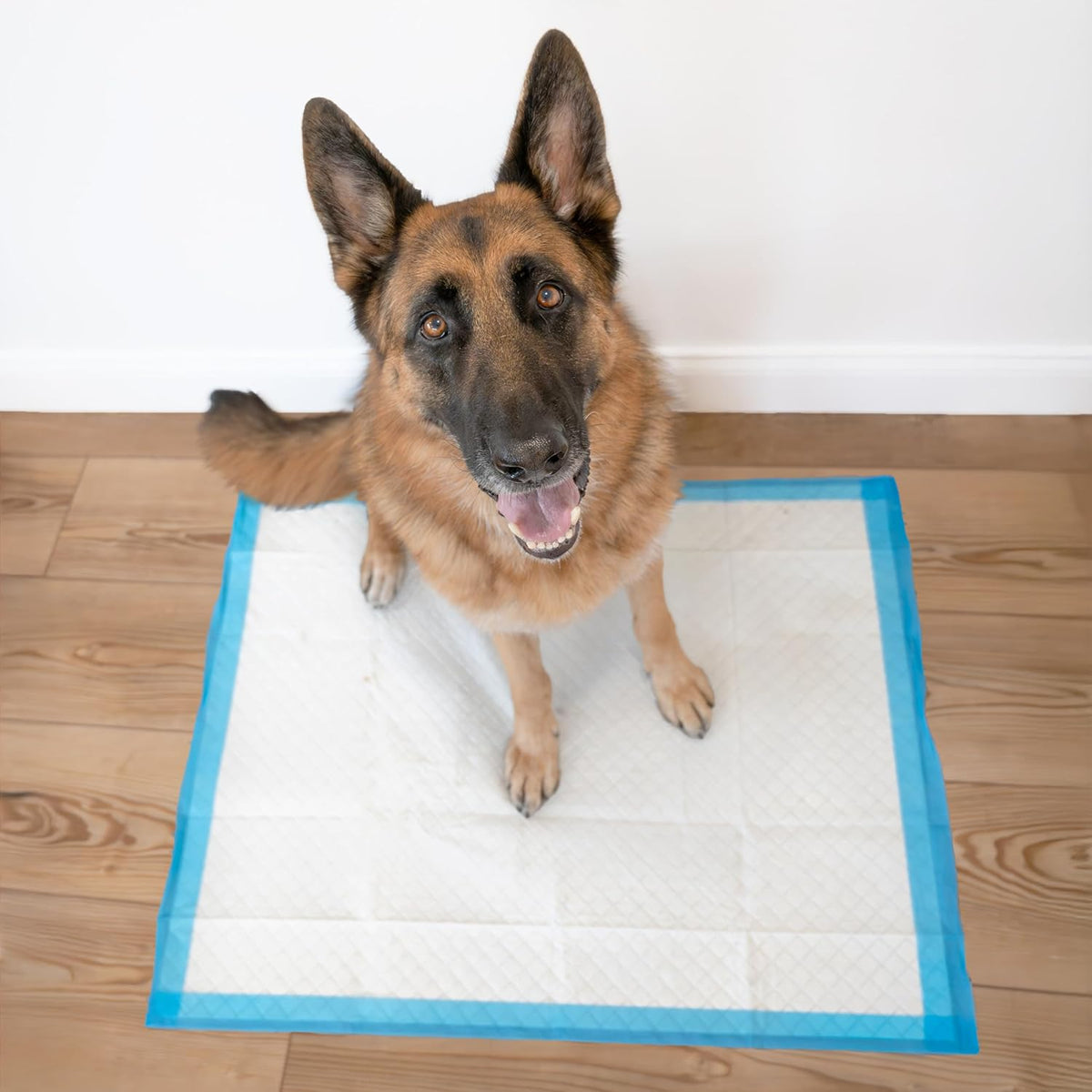 Wee-Wee Superior Performance Extra Large Pee Pads for Dogs with Runoff Barrier Edge Guard Protection, Puppy & Dog Potty Training Pads, Housebreaking Supplies, 28" x 34"