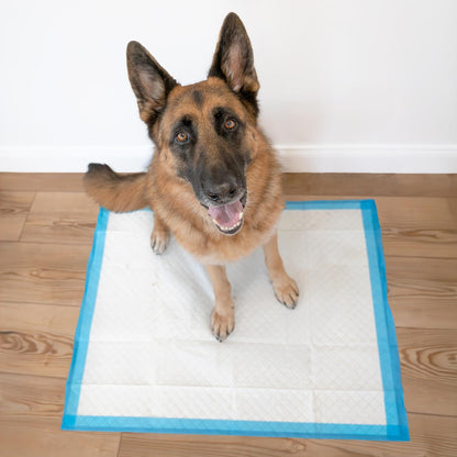 Wee-Wee Superior Performance Extra Large Pee Pads for Dogs with Runoff Barrier Edge Guard Protection, Puppy & Dog Potty Training Pads, Housebreaking Supplies, 28" x 34"