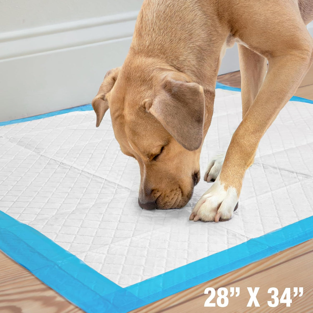 Wee-Wee Superior Performance Extra Large Pee Pads for Dogs with Runoff Barrier Edge Guard Protection, Puppy & Dog Potty Training Pads, Housebreaking Supplies, 28" x 34"