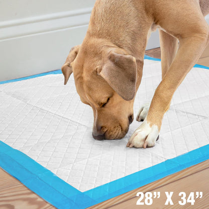 Wee-Wee Superior Performance Extra Large Pee Pads for Dogs with Runoff Barrier Edge Guard Protection, Puppy & Dog Potty Training Pads, Housebreaking Supplies, 28" x 34"