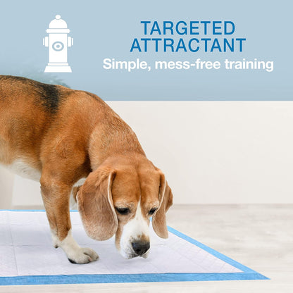 Wee-Wee Superior Performance Extra Large Pee Pads for Dogs with Runoff Barrier Edge Guard Protection, Puppy & Dog Potty Training Pads, Housebreaking Supplies, 28" x 34"
