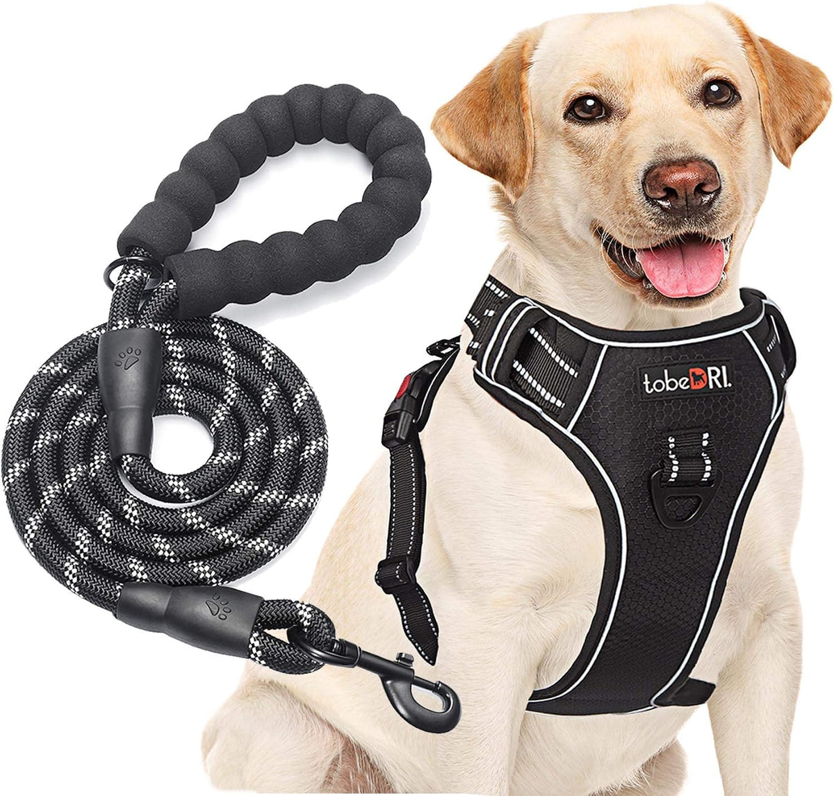 No Pull Dog Harness Adjustable Reflective Oxford Easy Control Medium Large Dog Harness with A Free Heavy Duty 5ft Dog Leash, Blue, L