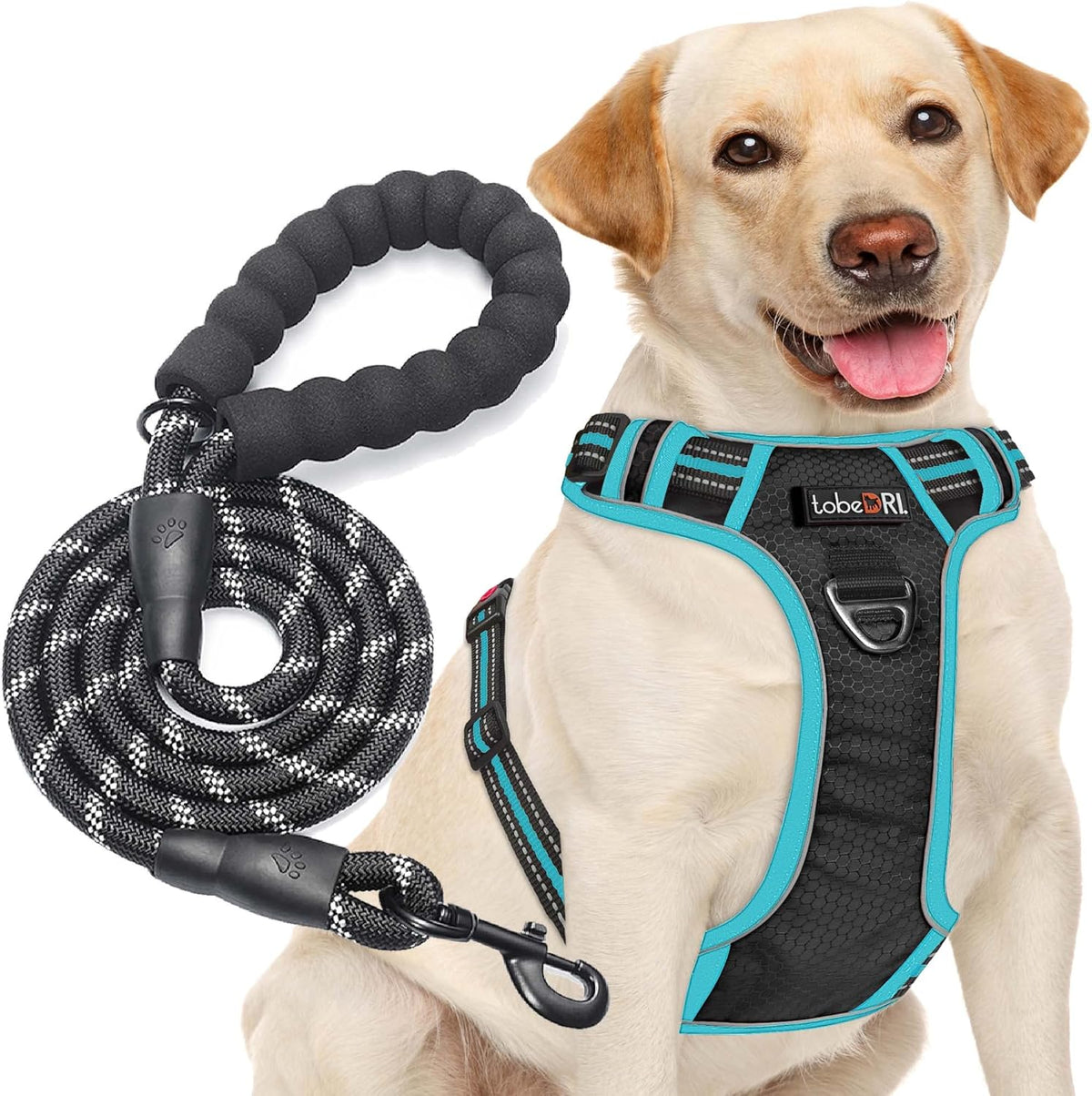 No Pull Dog Harness Adjustable Reflective Oxford Easy Control Medium Large Dog Harness with A Free Heavy Duty 5ft Dog Leash, Blue, L