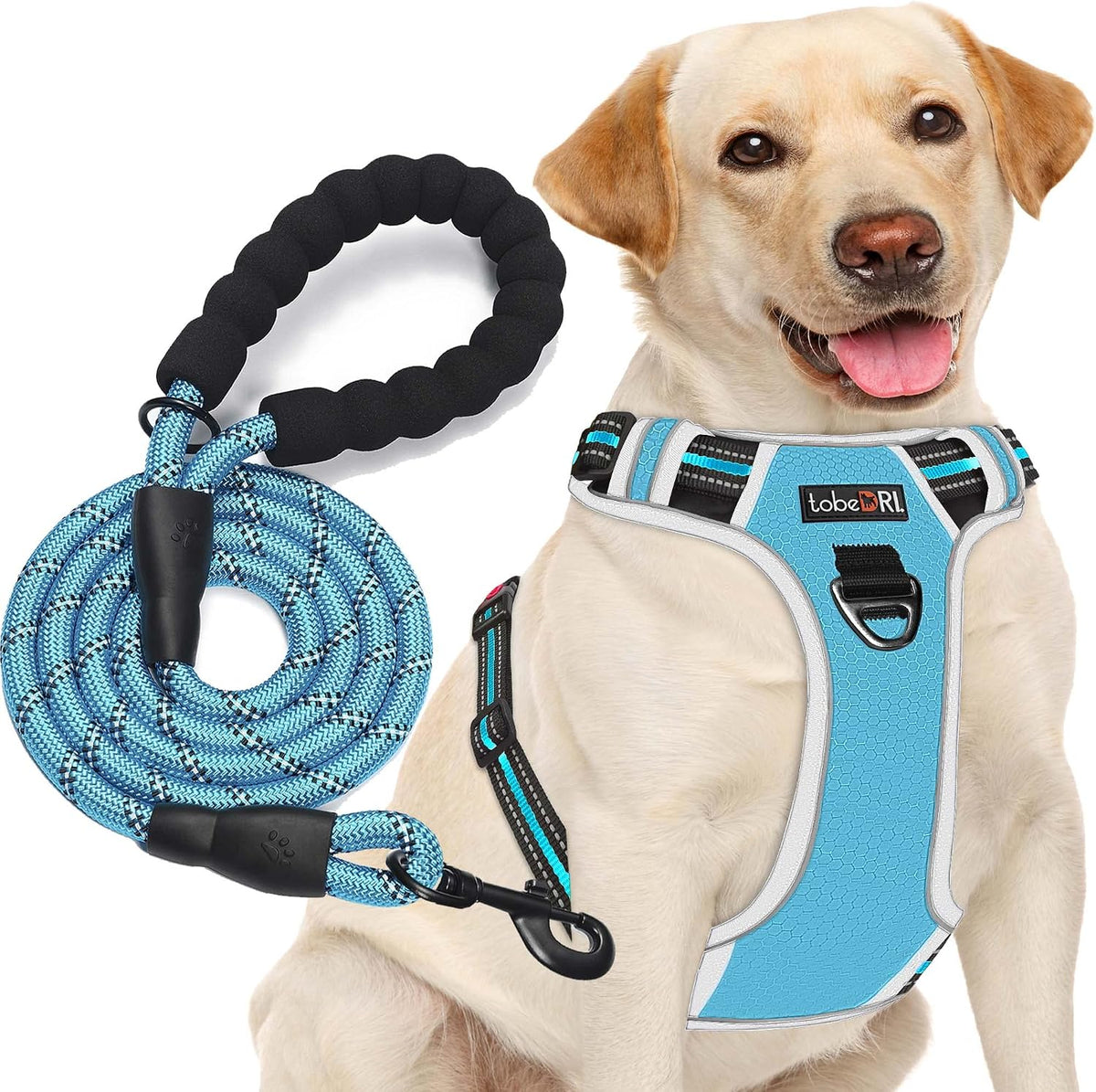 No Pull Dog Harness Adjustable Reflective Oxford Easy Control Medium Large Dog Harness with A Free Heavy Duty 5ft Dog Leash, Blue, L