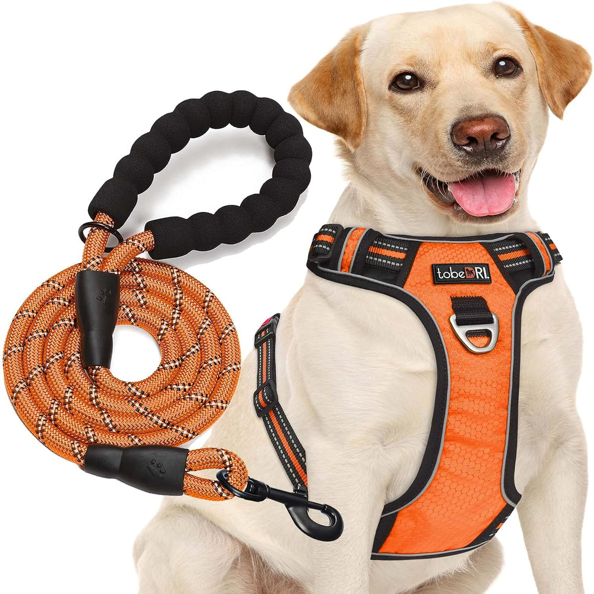 No Pull Dog Harness Adjustable Reflective Oxford Easy Control Medium Large Dog Harness with A Free Heavy Duty 5ft Dog Leash, Blue, L