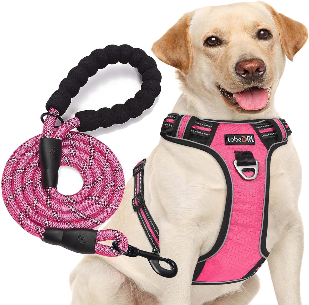 No Pull Dog Harness Adjustable Reflective Oxford Easy Control Medium Large Dog Harness with A Free Heavy Duty 5ft Dog Leash, Blue, L