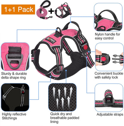 No Pull Dog Harness Adjustable Reflective Oxford Easy Control Medium Large Dog Harness with A Free Heavy Duty 5ft Dog Leash, Blue, L