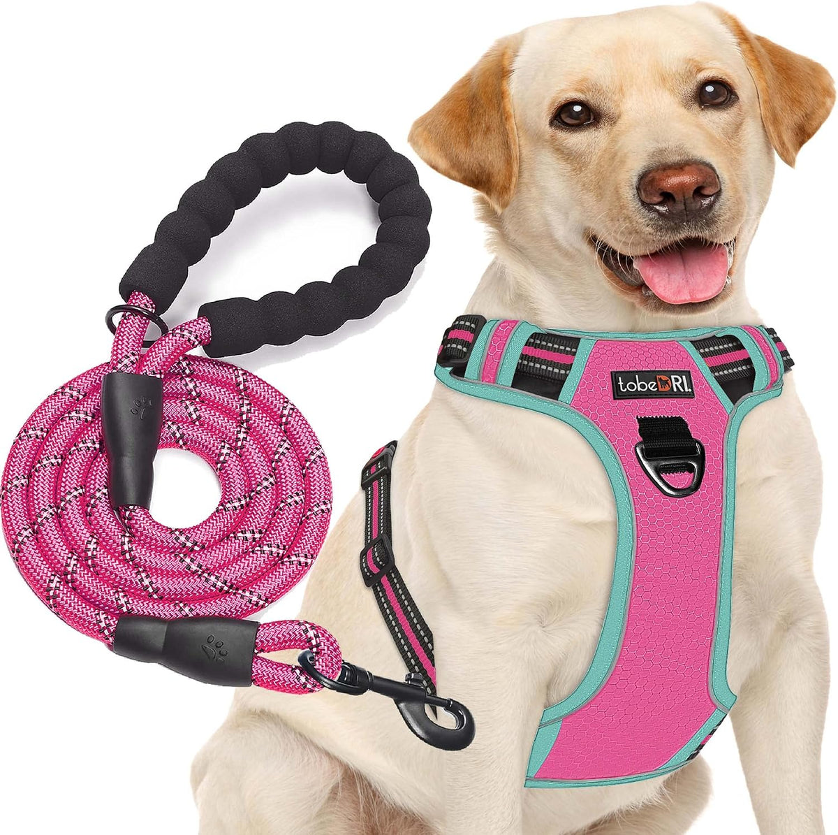 No Pull Dog Harness Adjustable Reflective Oxford Easy Control Medium Large Dog Harness with A Free Heavy Duty 5ft Dog Leash, Blue, L