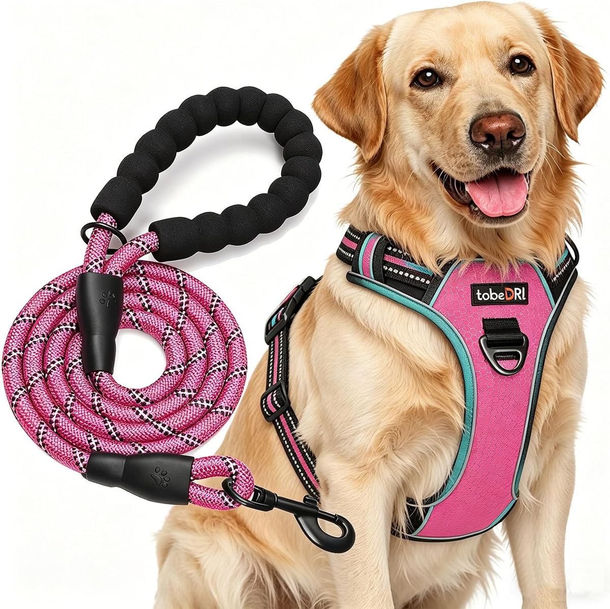 No Pull Dog Harness Adjustable Reflective Oxford Easy Control Medium Large Dog Harness with A Free Heavy Duty 5ft Dog Leash, Blue, L